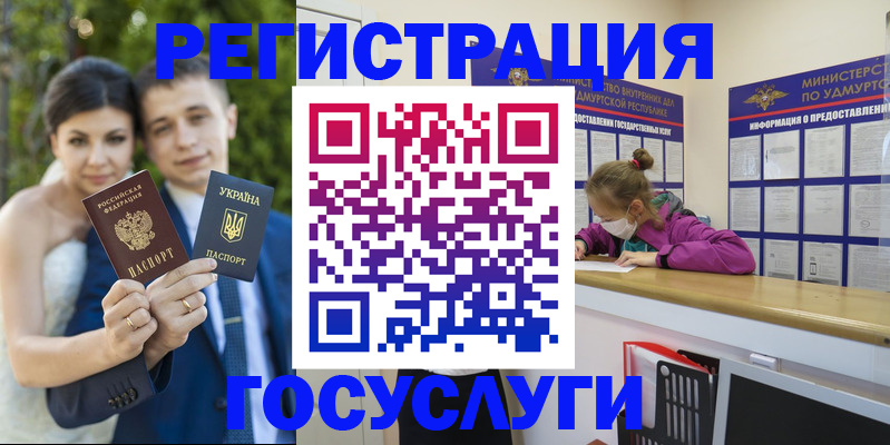 прописка поиск в Ермолино